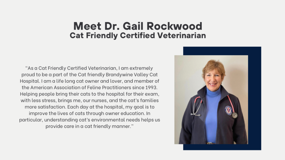 Cat Hospital Brandywine Valley Veterinary Hospital