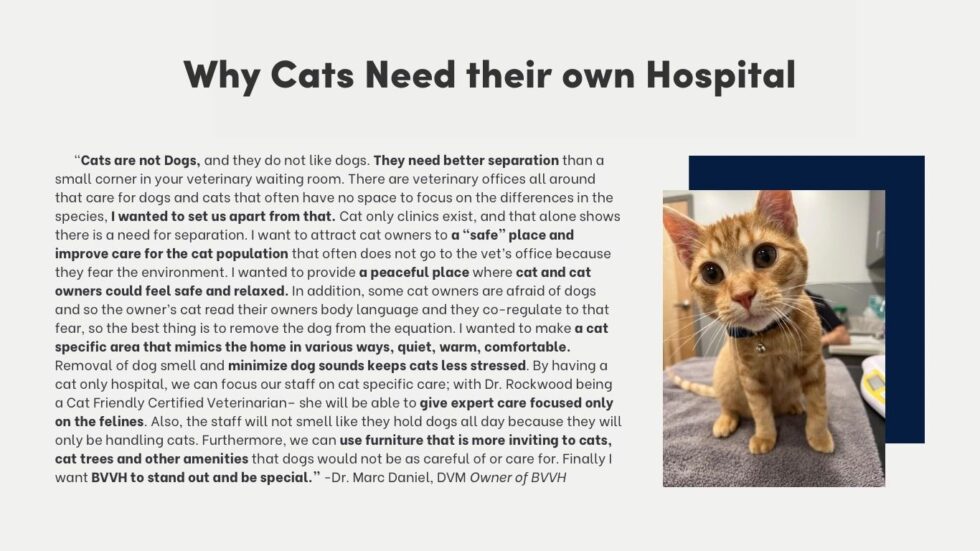 Cat Hospital Brandywine Valley Veterinary Hospital