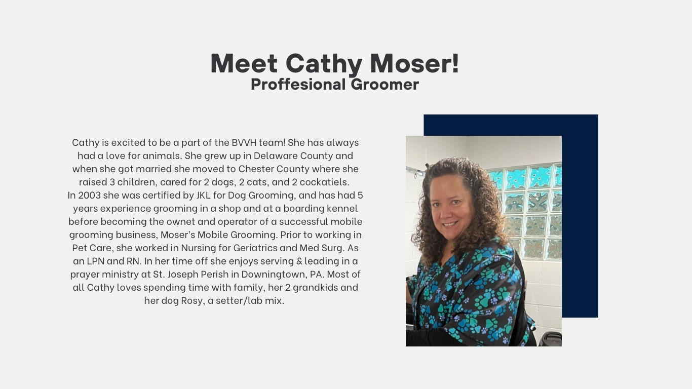 Cathy's bio