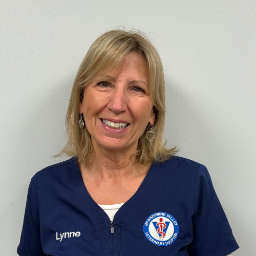 Lynne VandeMotter