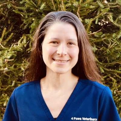 Renee Trionfetti, VMD, SDEP-Abdomen Certified Sonographer