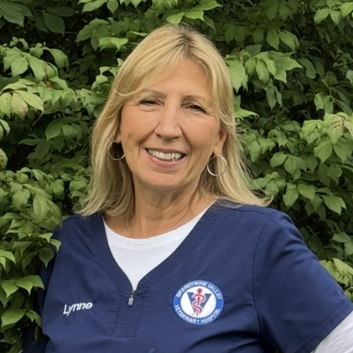 Lynne VandeMotter